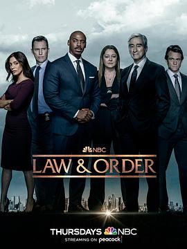 法律与秩序第二十二季 第13集