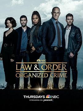 法律与秩序：组织犯罪第三季 第07集